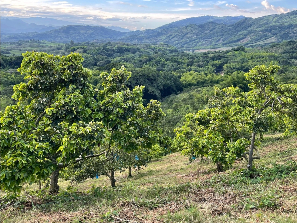 Espectacular Finca en Venta Lisboa — foto 5