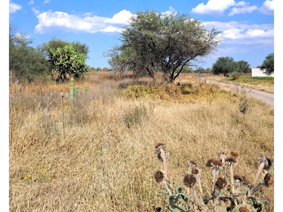 TERRENO EN VENTA EN LA PONDEROSA CAMPESTRE QUERETARO GAA - 3