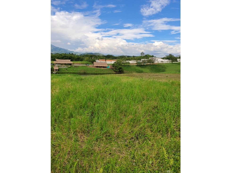 TRANQUILIDAD EN CERRITOS: LOTE EN ECOMALABAR