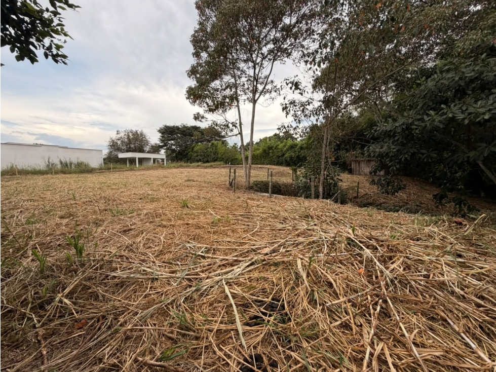 SE VENDE LOTE EN EL EXCLUSIVO SECTOR DE CERRITOS - 3