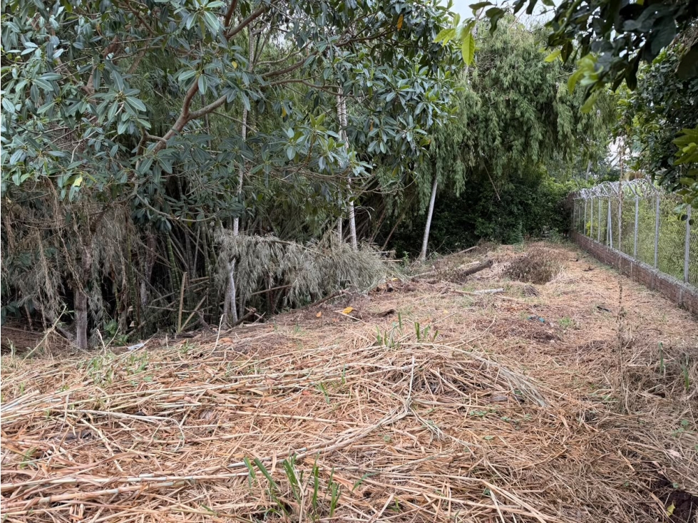 SE VENDE LOTE EN EL EXCLUSIVO SECTOR DE CERRITOS - 5