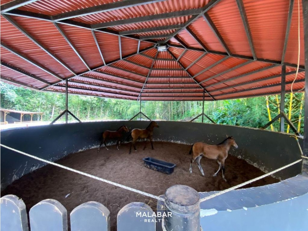 EN VENTA HERMOSA CASA FINCA — foto 5