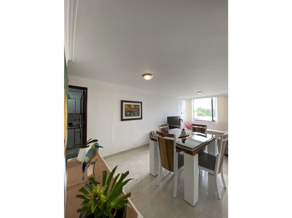 APARTAMENTO EN VENTA EN LA ELVIRA — foto 5