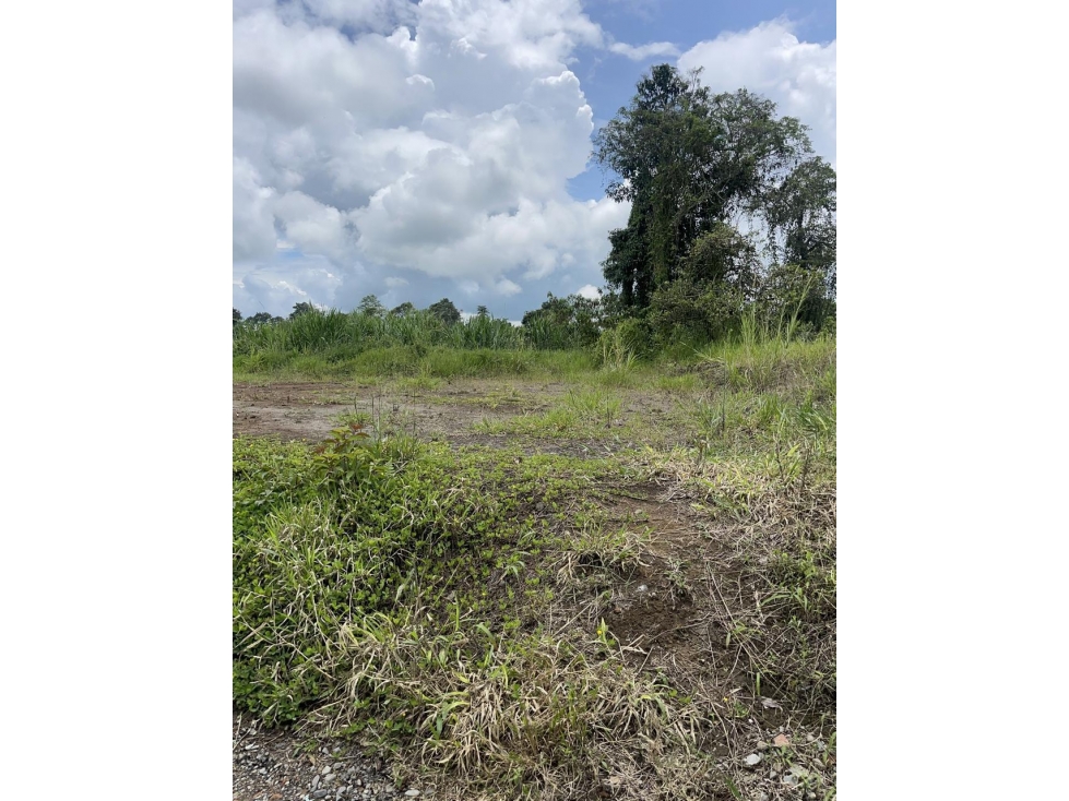 SE VENDE LOTE EN LA VEREDA EL CONGAL A PRECIO DE OPORTUNIDAD - 4