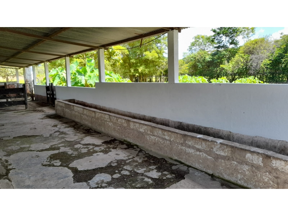 VENDO LOTE VIA RESTREPO - 4