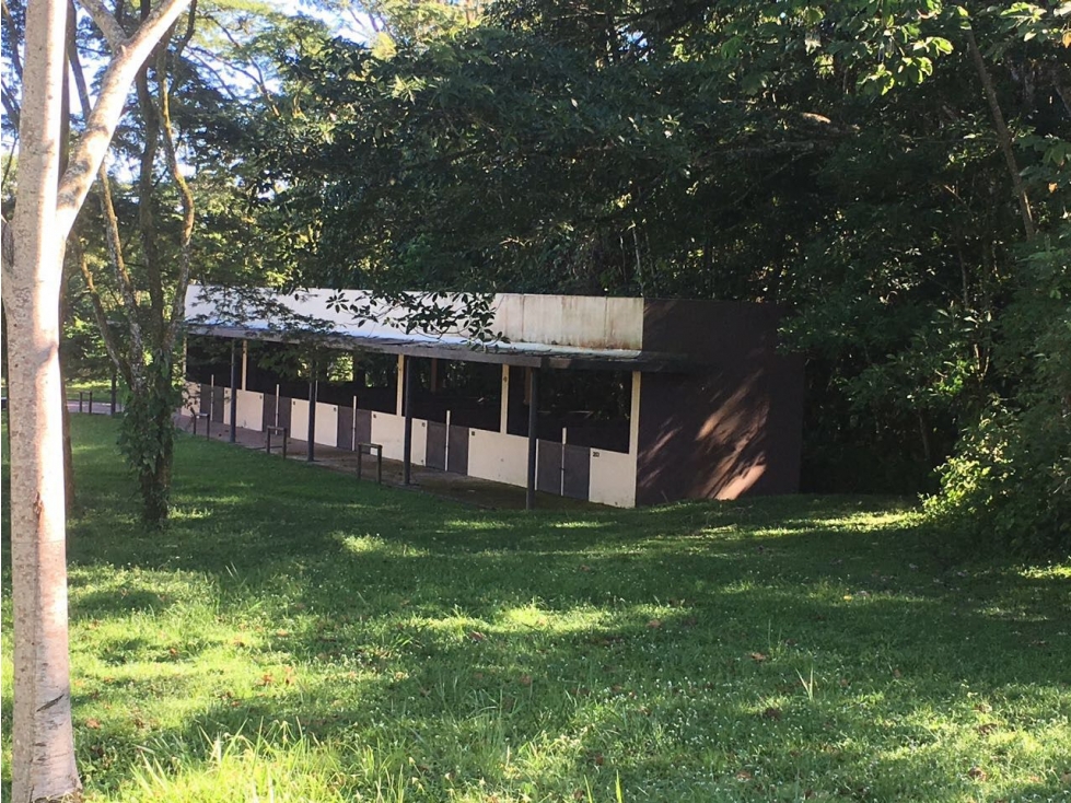 ESPECTACULAR LOTE EN CONDOMINIO CASA DE CAMPO LLANOS - 4
