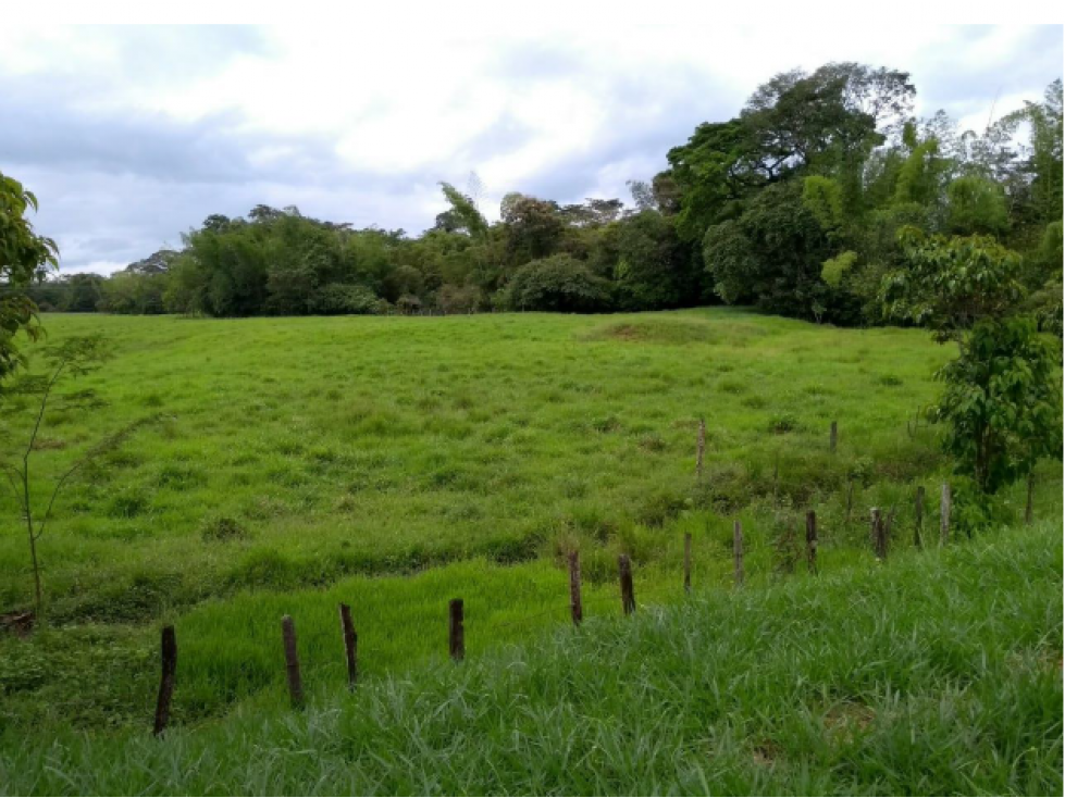 TERRENO LOTE SOBRE VIA PRINCIPAL VIA ACACIAS - 1