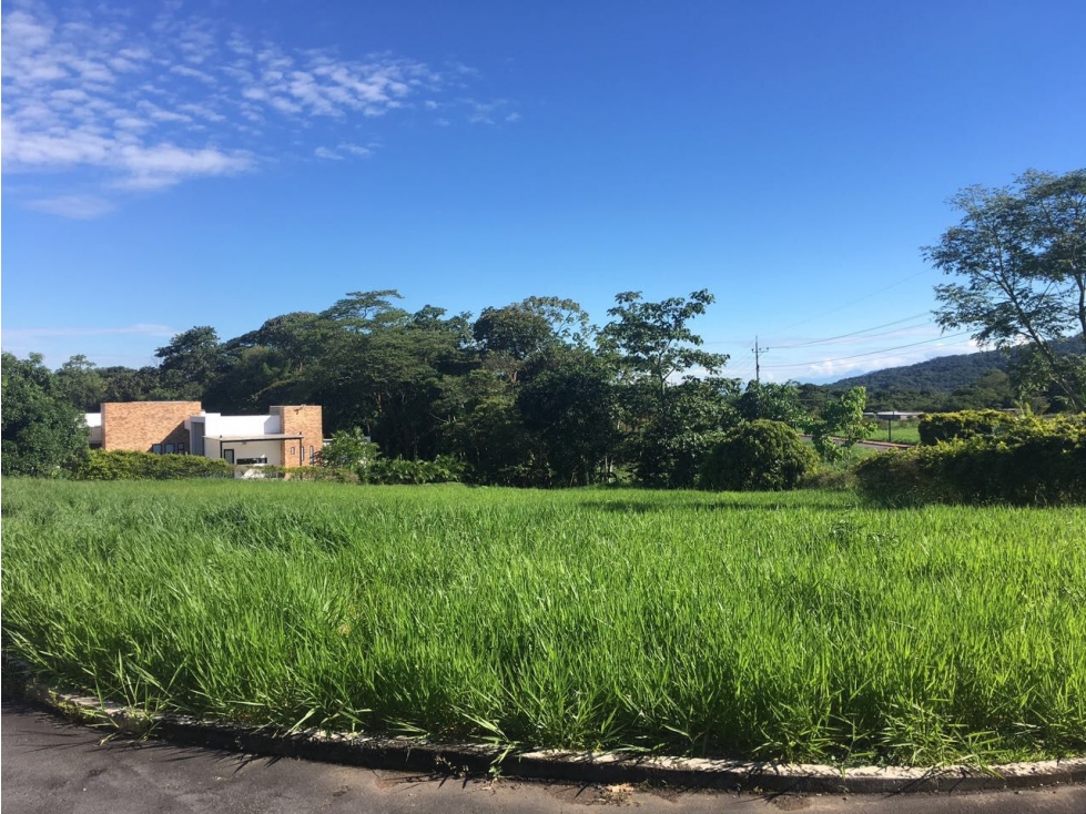 ESPECTACULAR LOTE EN CONDOMINIO CASA DE CAMPO LLANOS - 3
