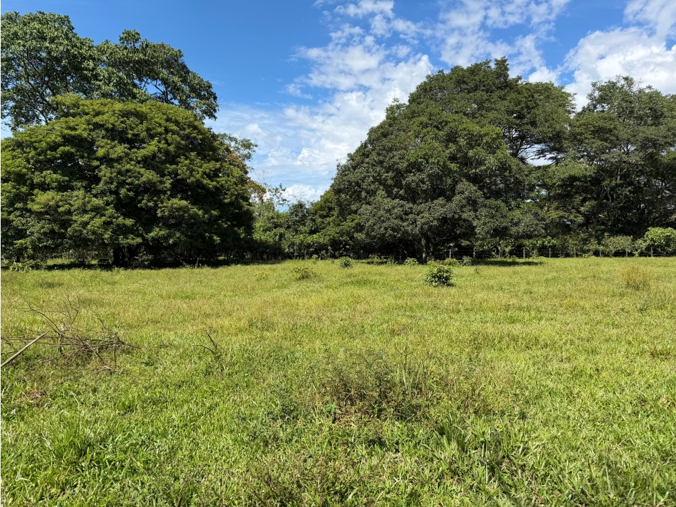 FINCA EN VENTA EN CUMARAL META 5 HECTAREAS CASA PISCINA CULTIVOS - 2