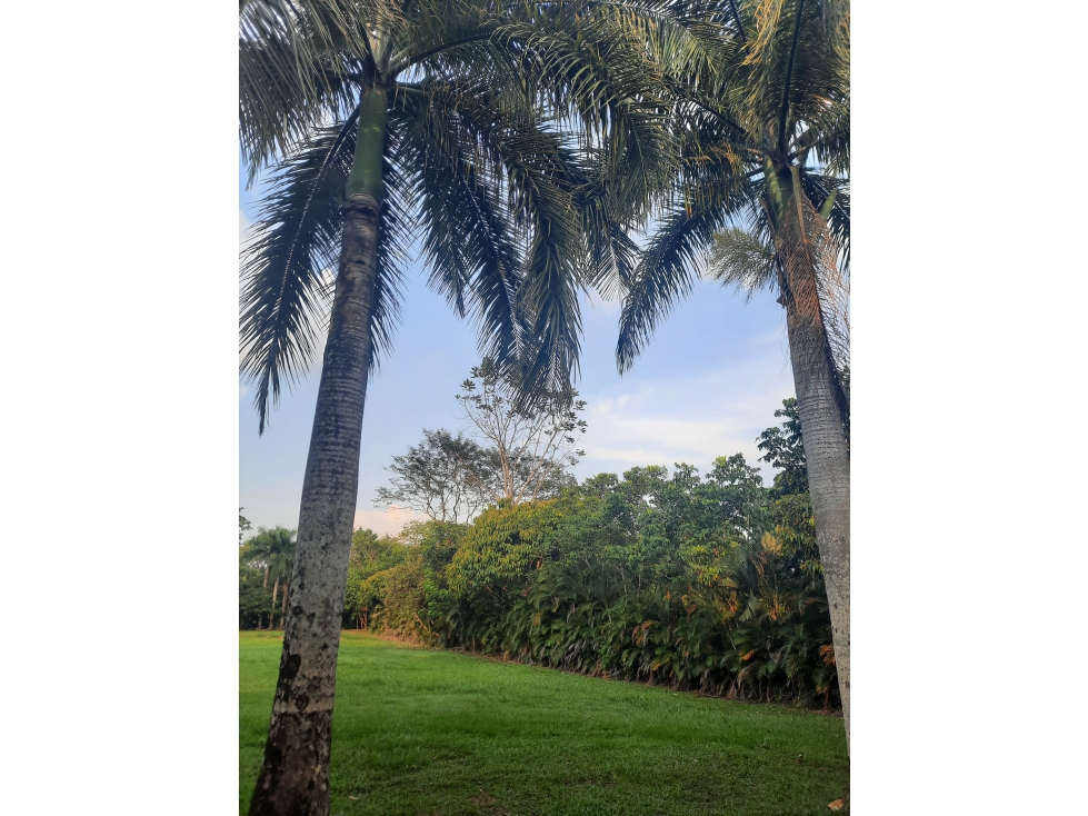 VENTA LOTE EN COND.HACIENDA LA PRIMAVERA VILLAVICENCIO - 4
