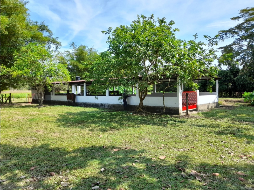 VENDO LOTE VIA RESTREPO - 3