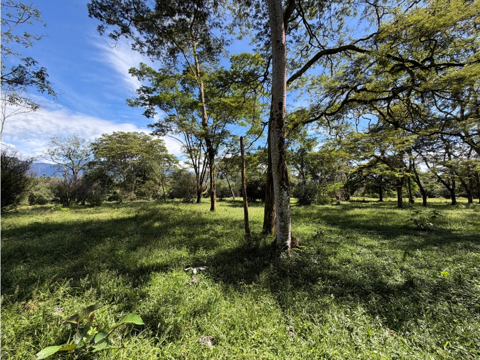 FINCA EN VENTA EN CUMARAL META 5 HECTAREAS CASA PISCINA CULTIVOS - 3