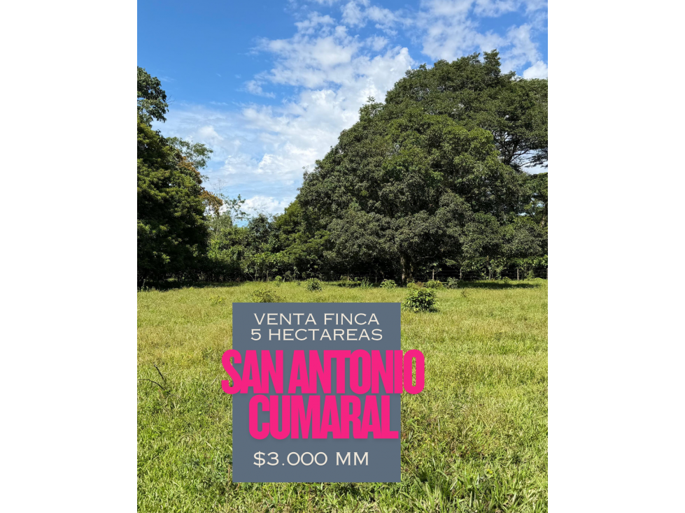 FINCA EN VENTA EN CUMARAL META 5 HECTAREAS CASA PISCINA CULTIVOS - 1