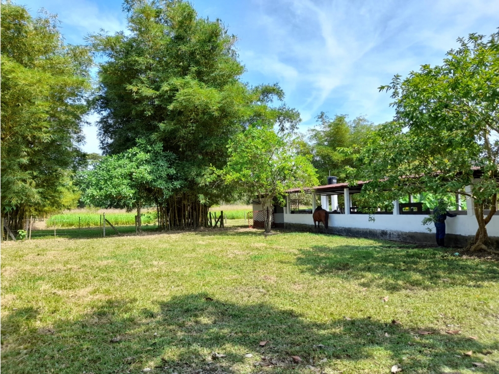 VENDO LOTE VIA RESTREPO - 5