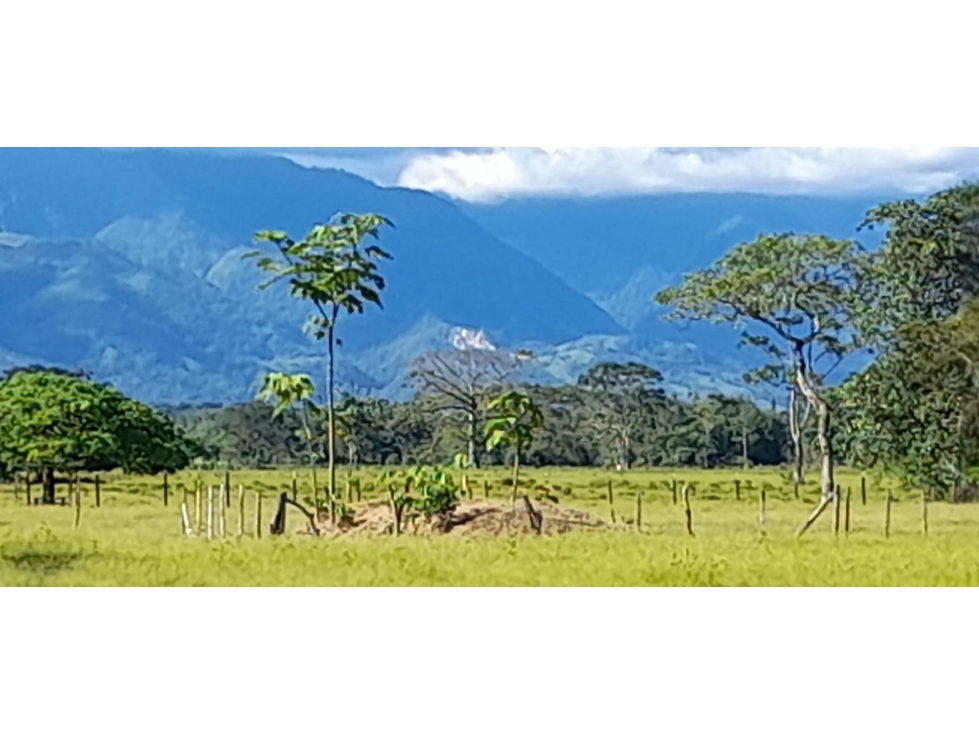 VENDO LOTE VIA RESTREPO - 1