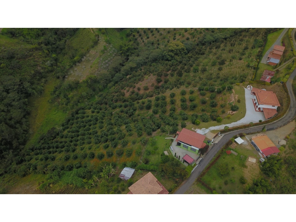 VENTA FINCA EN MARINILLA — foto 3