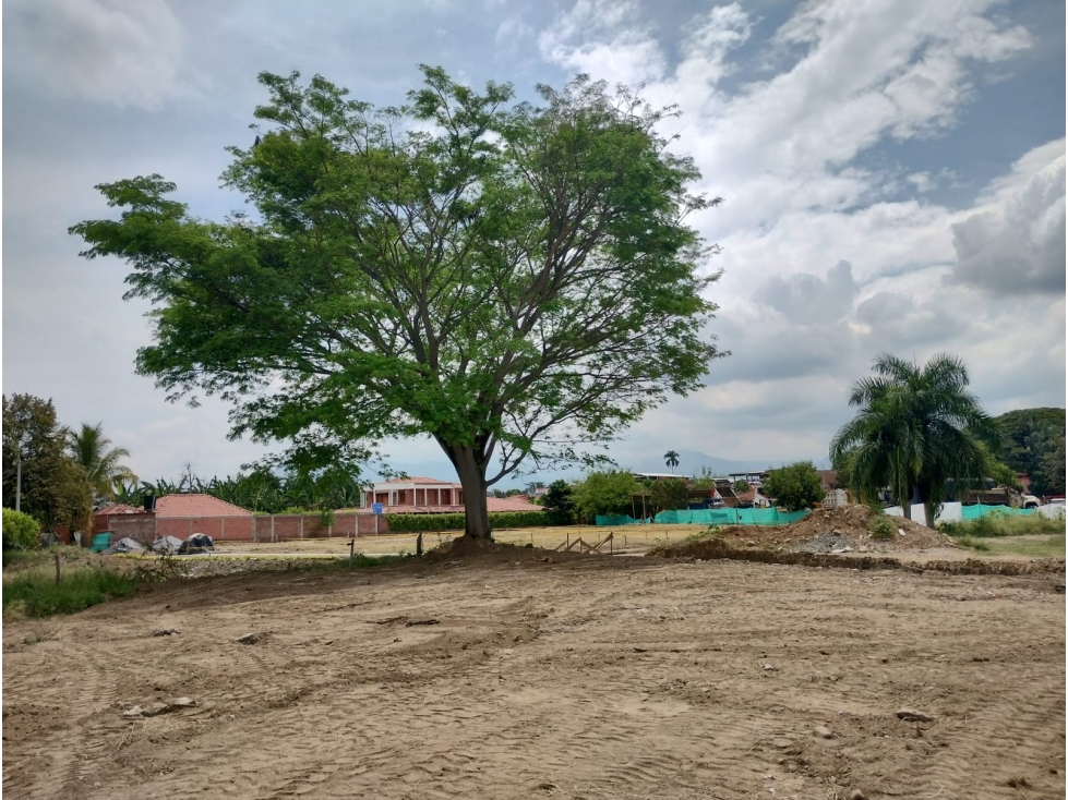 Se venden lotes en Urbanización el Ruby, Aguaclara. - 4