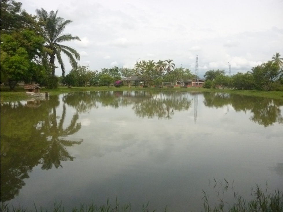 SE VENDE CASA DE CAMPO EN CAMPO ALEGRE, TULUÁ - 6