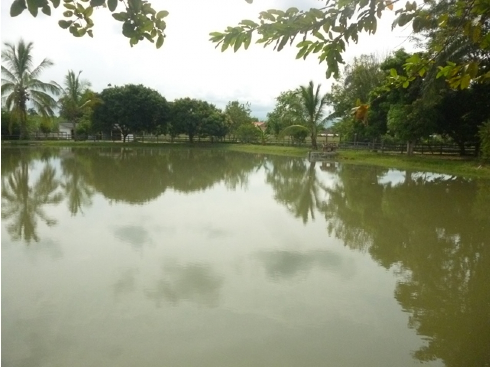 SE VENDE CASA DE CAMPO EN CAMPO ALEGRE, TULUÁ - 3