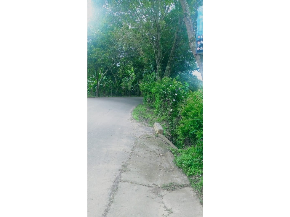 Se vende lote en la Vereda la Vigorosa, Vía fenicia - 2