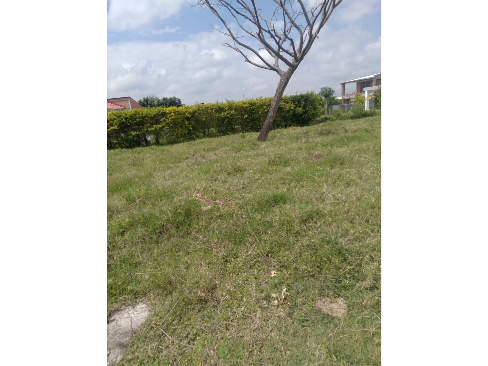 Se vende lote en la Rivera, la María - 3