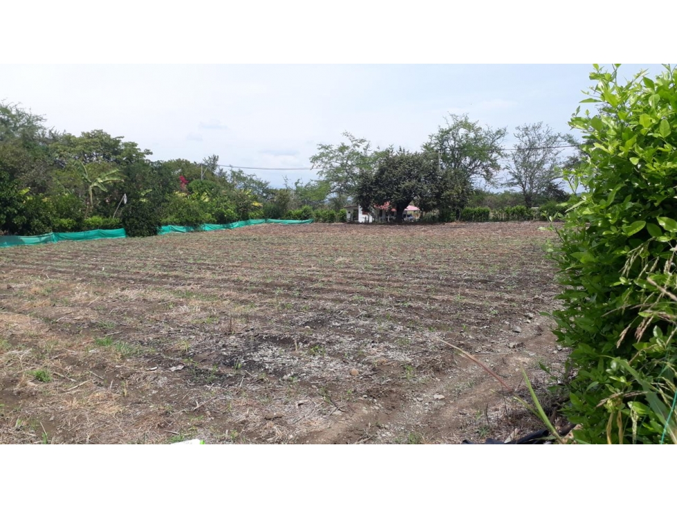Venta de lote en Los Chancos, San Pedro - 2