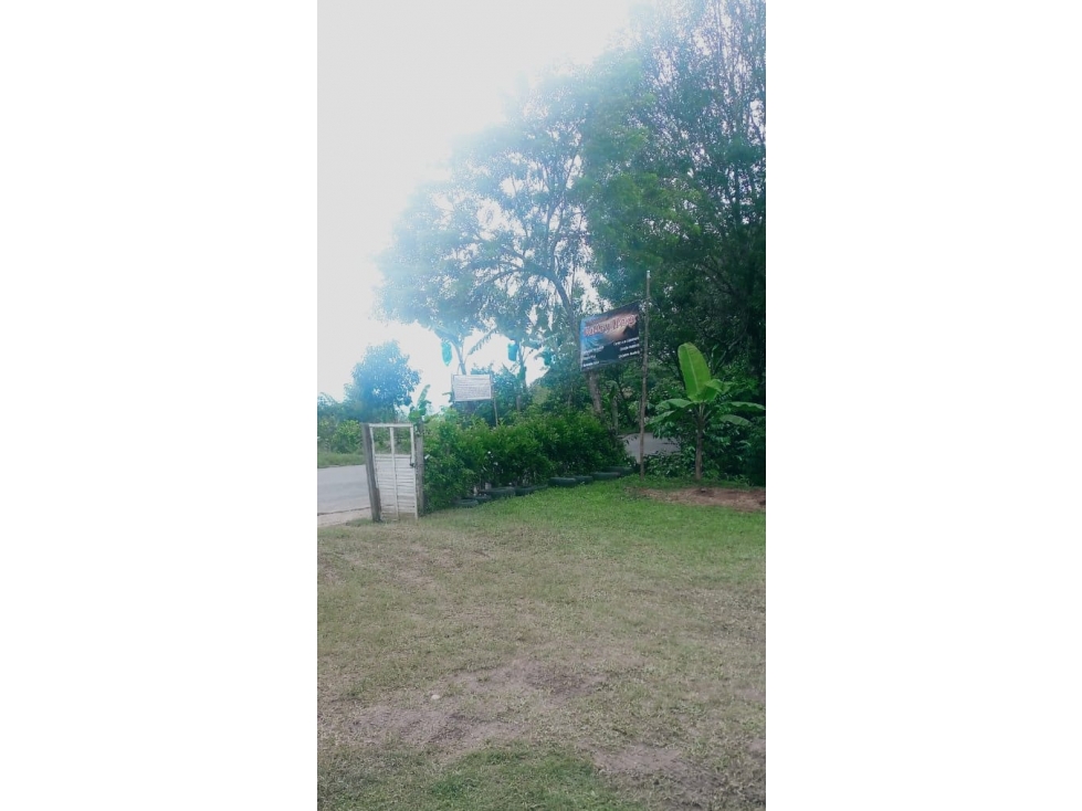 Se vende lote en la Vereda la Vigorosa, Vía fenicia - 5