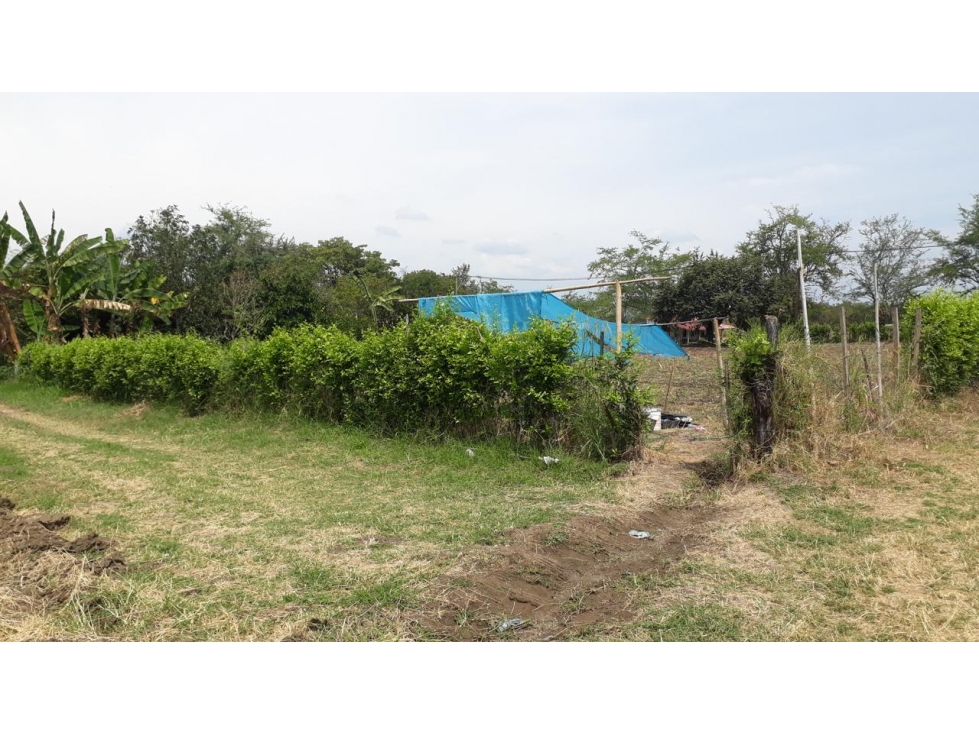 Venta de lote en Los Chancos, San Pedro - 3