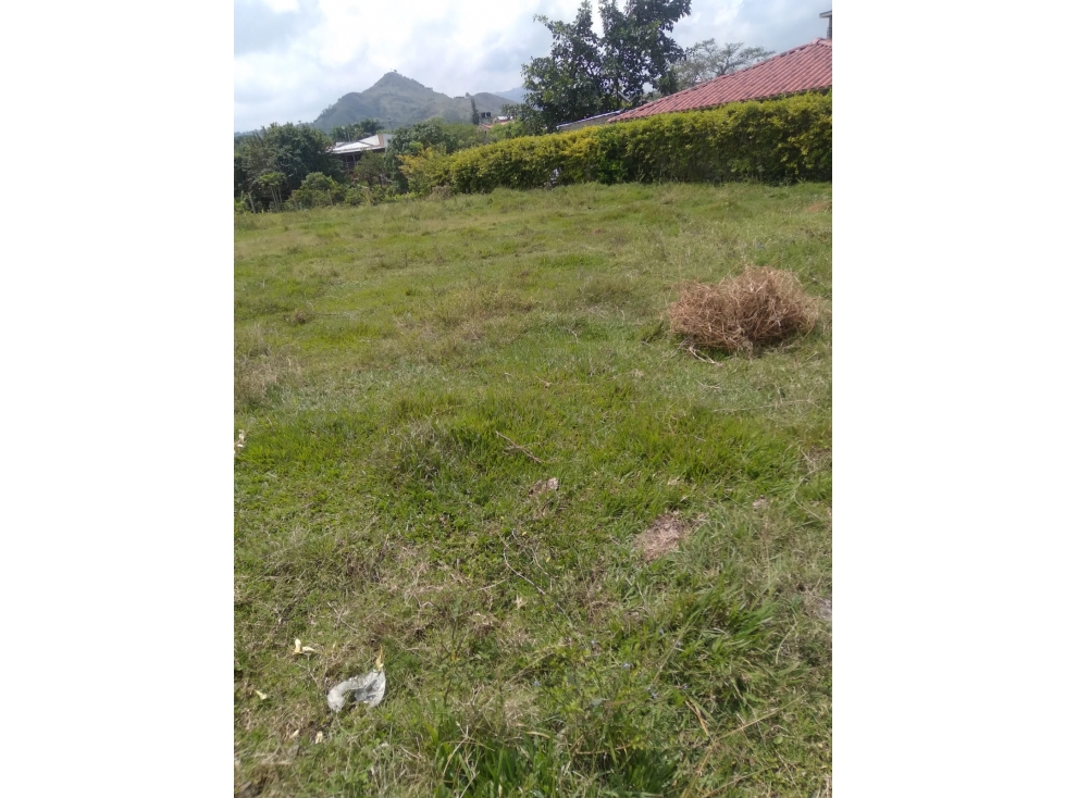 Se vende lote en la Rivera, la María - 5