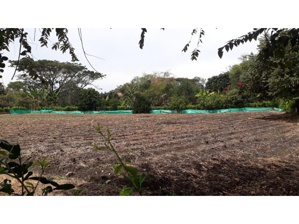 Venta de lote en Los Chancos, San Pedro - 4
