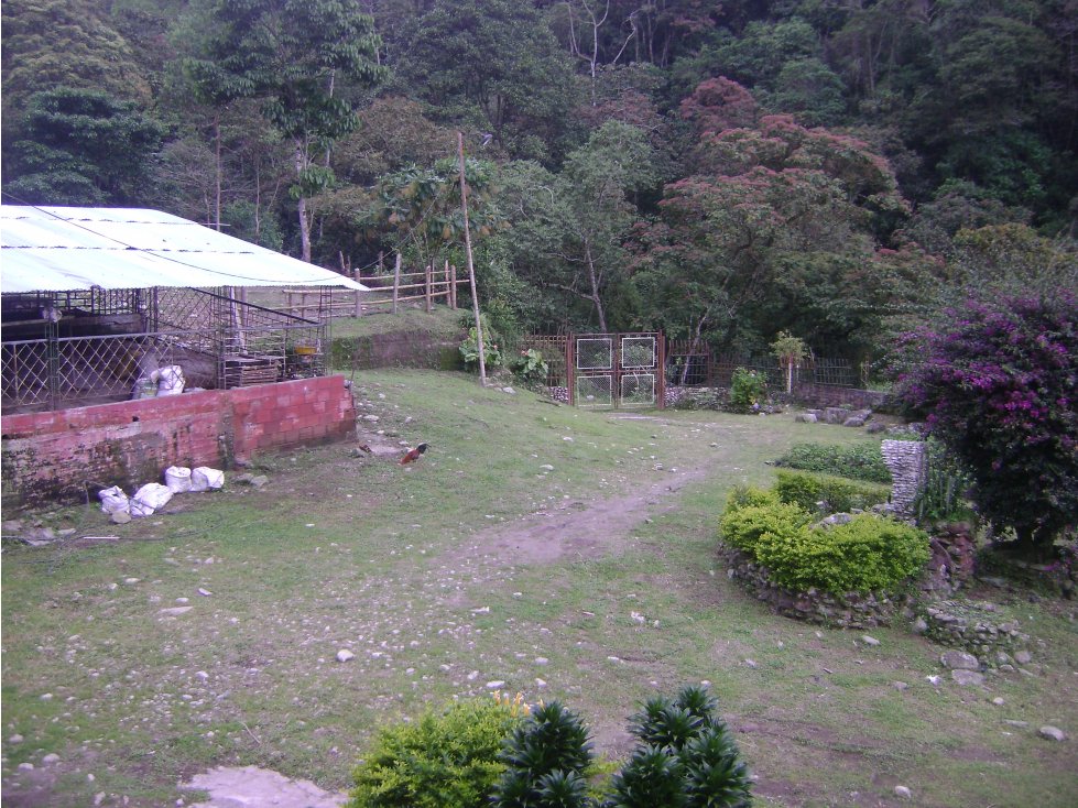 Se vende finca en Córdoba, Quindío. - 6