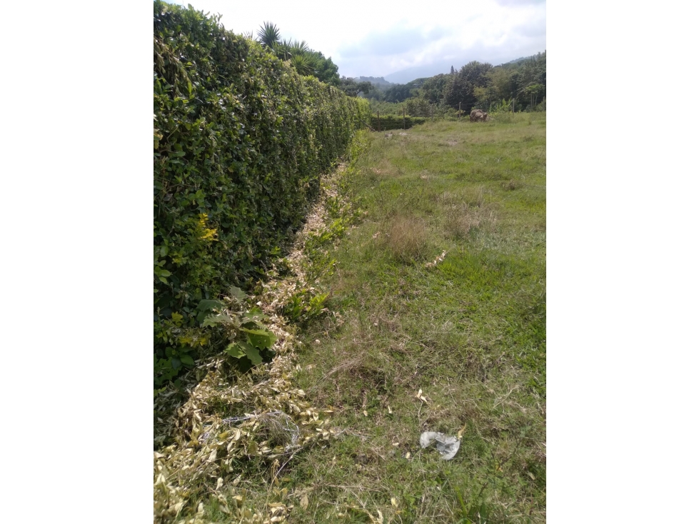 Se vende lote en la Rivera, la María - 6