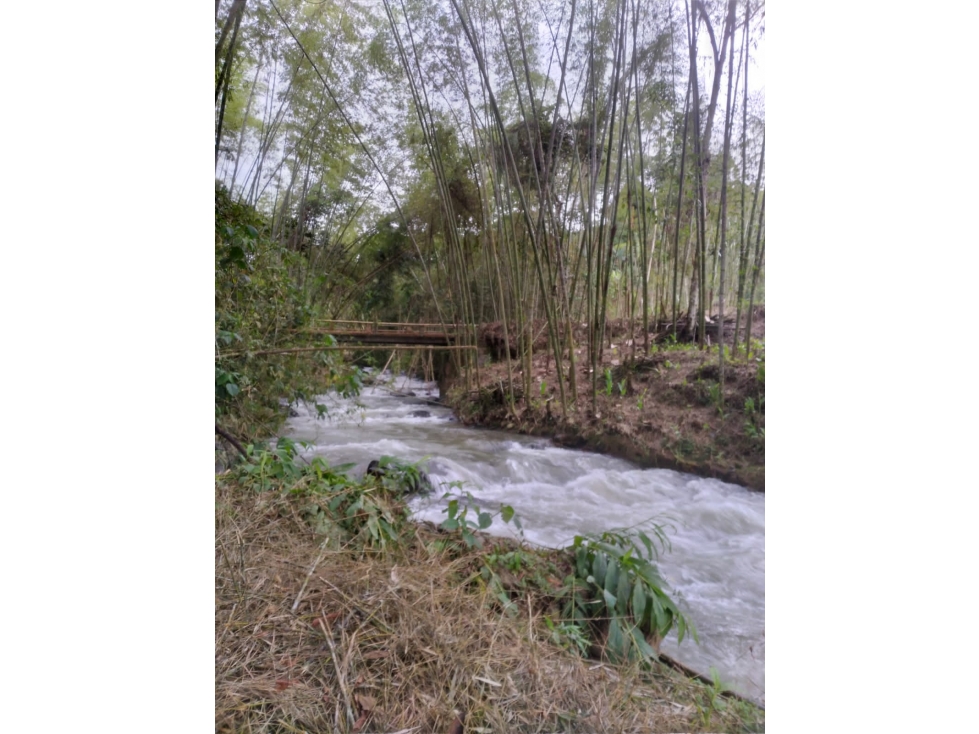 Se vende finca en la vereda los Cristales, Trujillo - 5