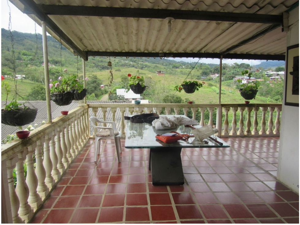 Se vende hermosa finca en el Queremal - 5