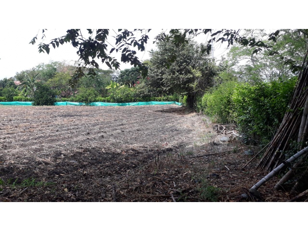 Venta de lote en Los Chancos, San Pedro - 5