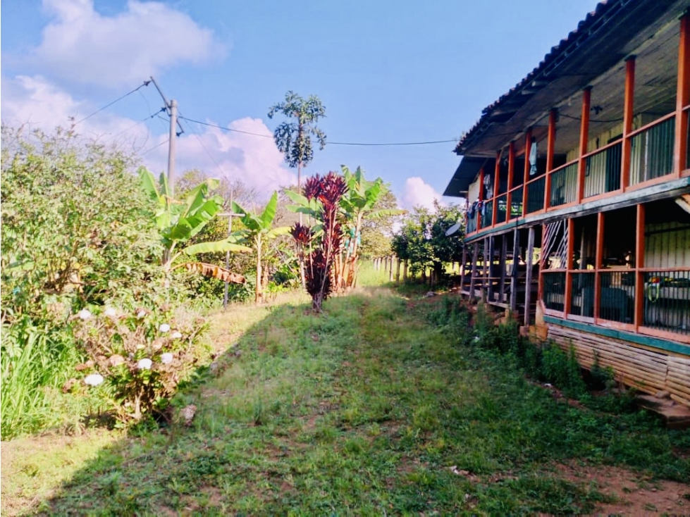 Se vende finca en la vereda los Cristales, Trujillo - 2