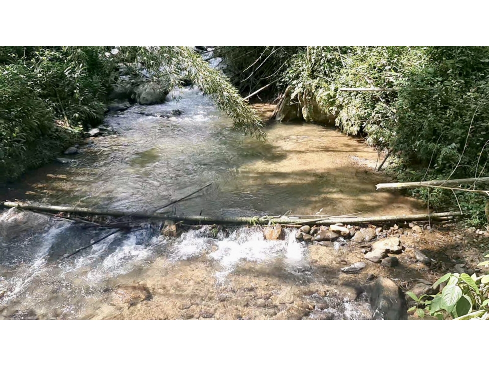 Se vende finca en la vereda los Cristales, Trujillo - 3