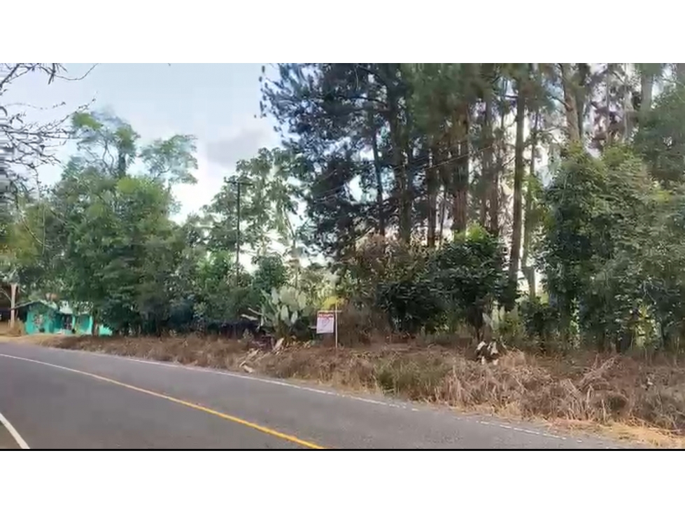 SE VENDE TERRENO EN DOLEGA, CHIRIQUÍ - 1