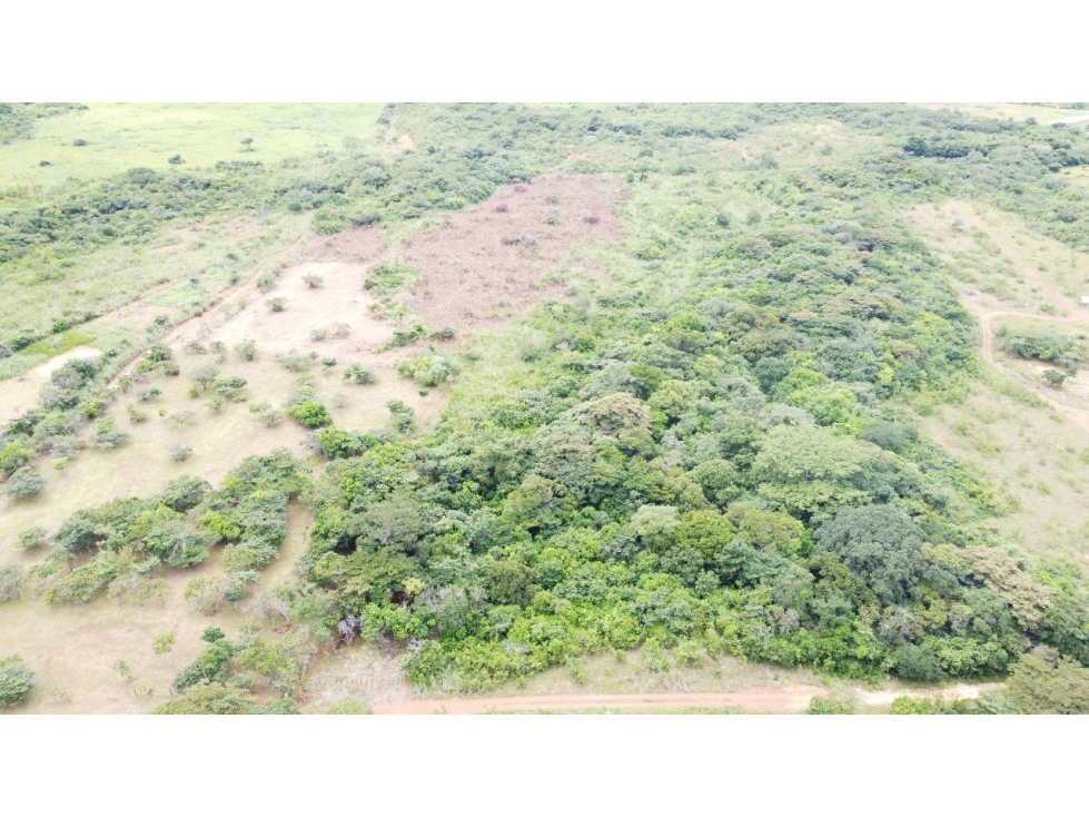Se VENDE Finca en Llano Apóstol, Río Grande, Coclé - 1