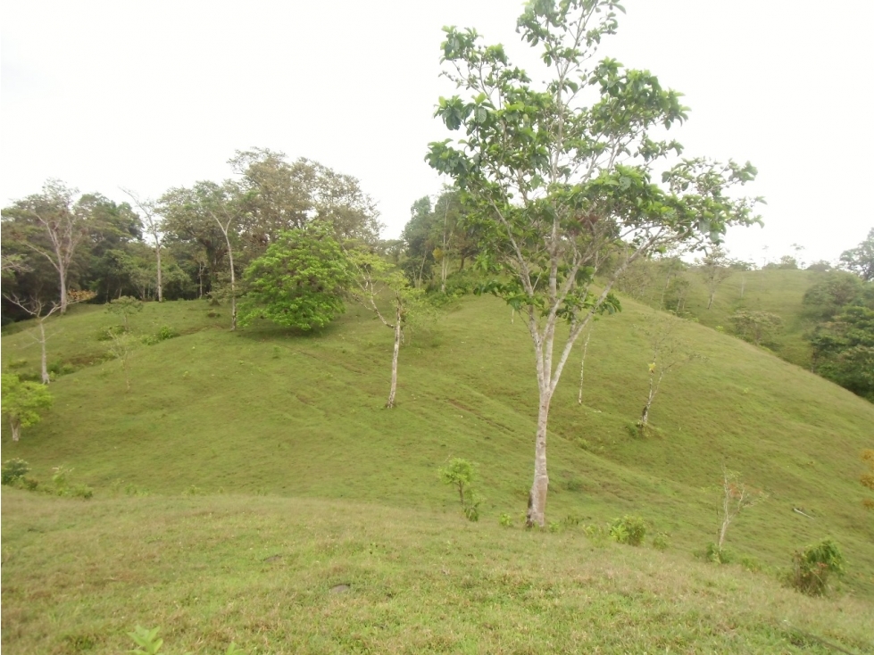 Se VENDE Finca en La Pintada, Coclé - 1