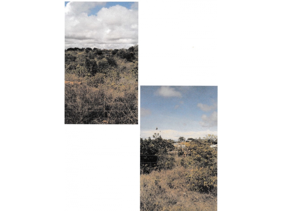 Se VENDE Terreno en Las Guías de Oriente, Río Hato - 6