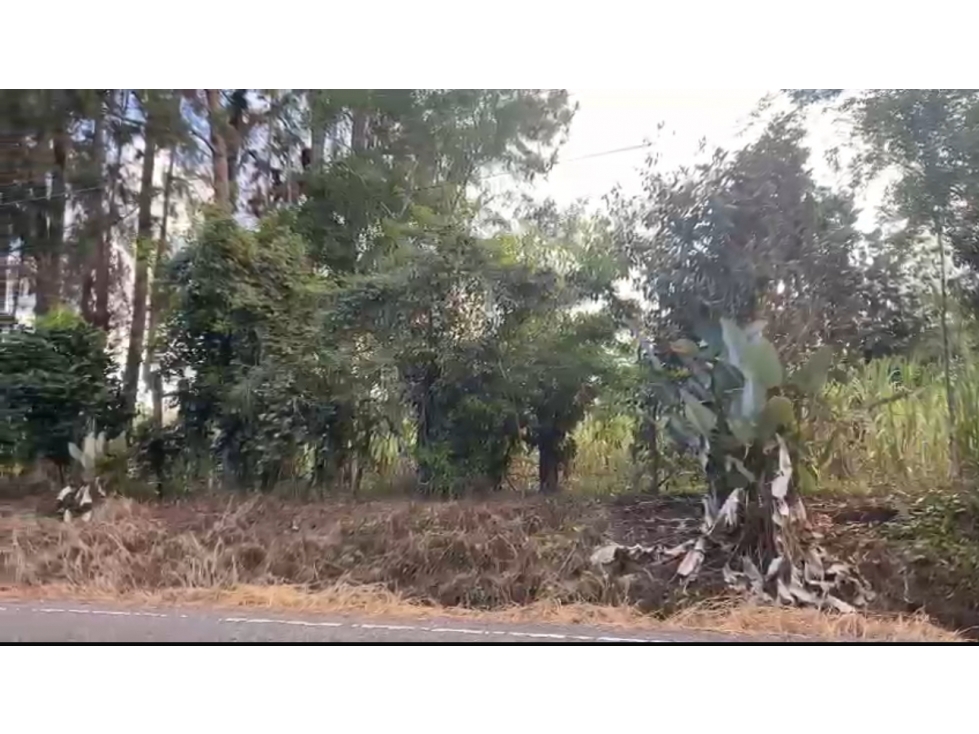 SE VENDE TERRENO EN DOLEGA, CHIRIQUÍ - 2