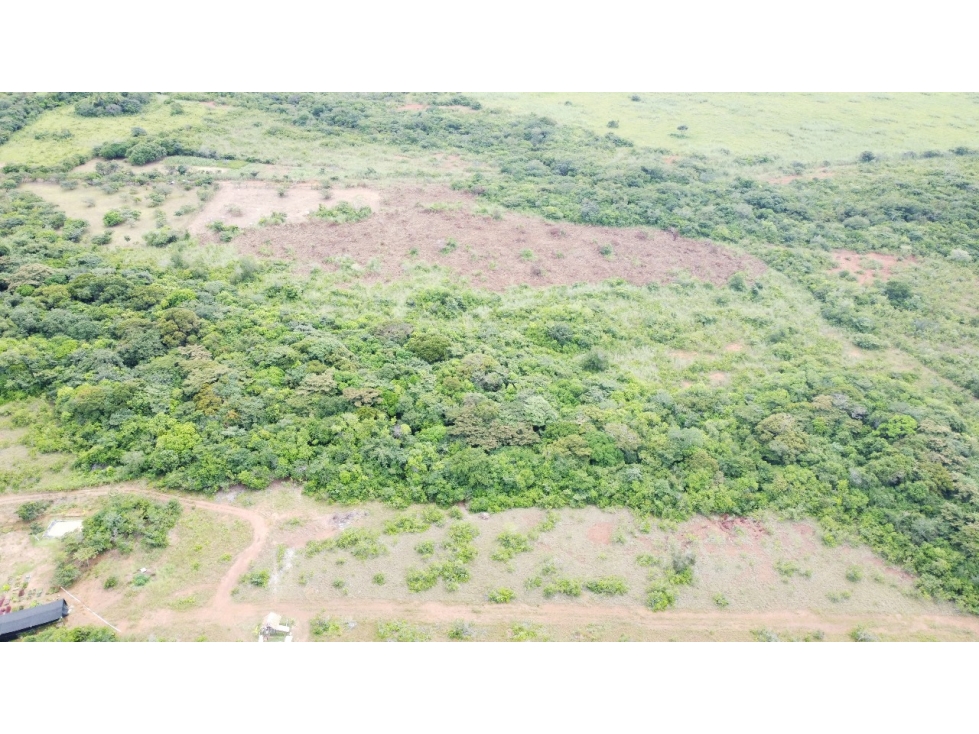 Se VENDE Finca en Llano Apóstol, Río Grande, Coclé - 2