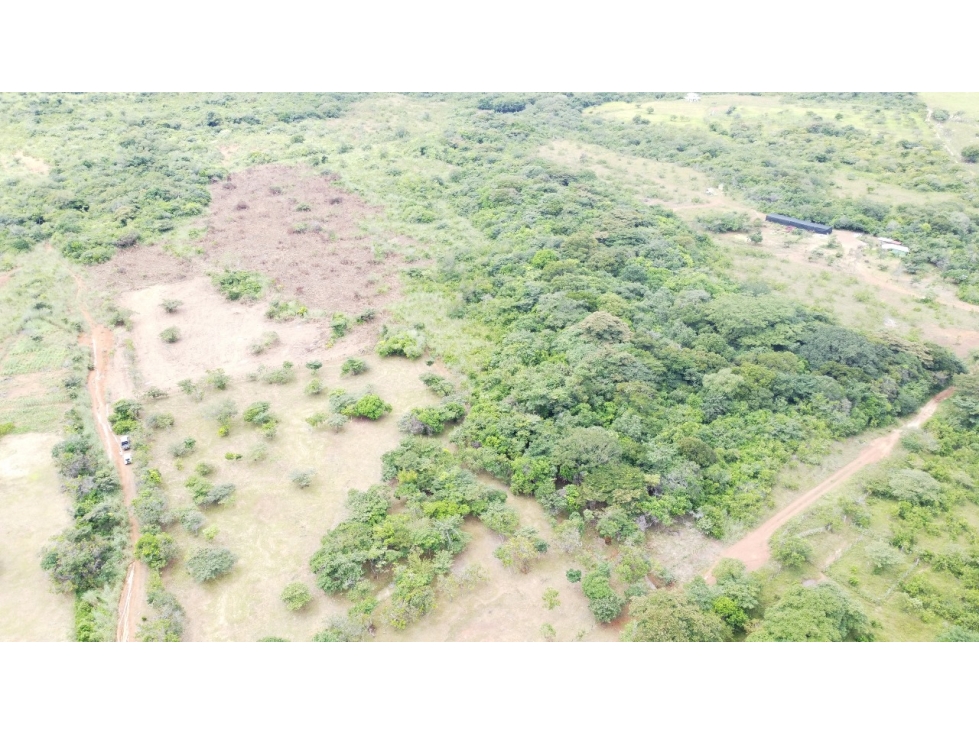 Se VENDE Finca en Llano Apóstol, Río Grande, Coclé - 3