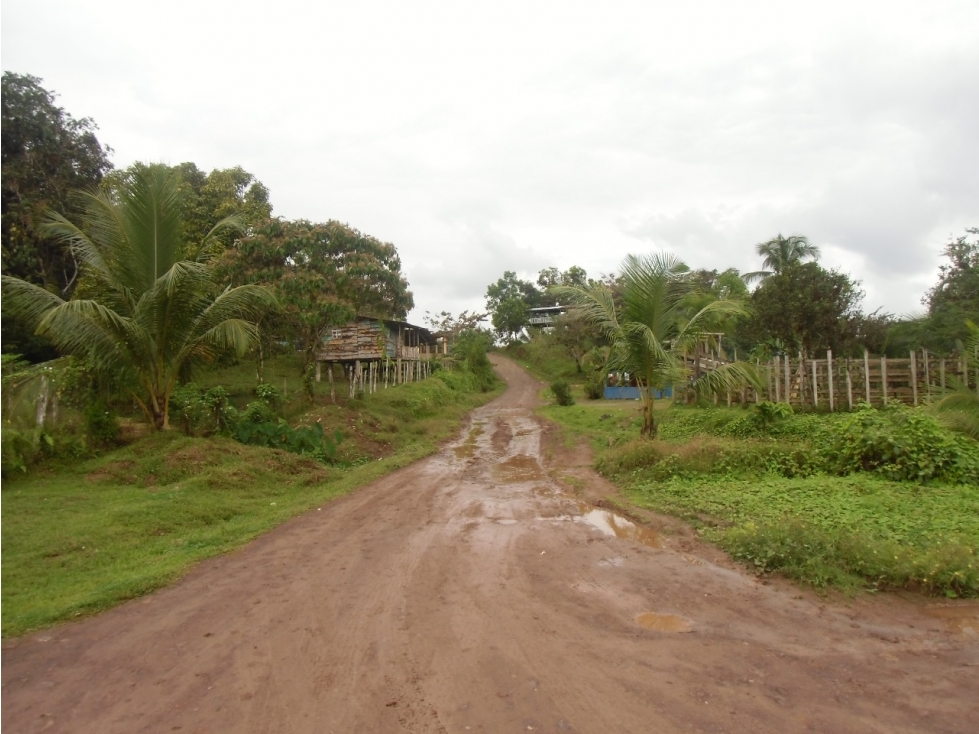 Se VENDE Finca en La Pintada, Coclé - 5