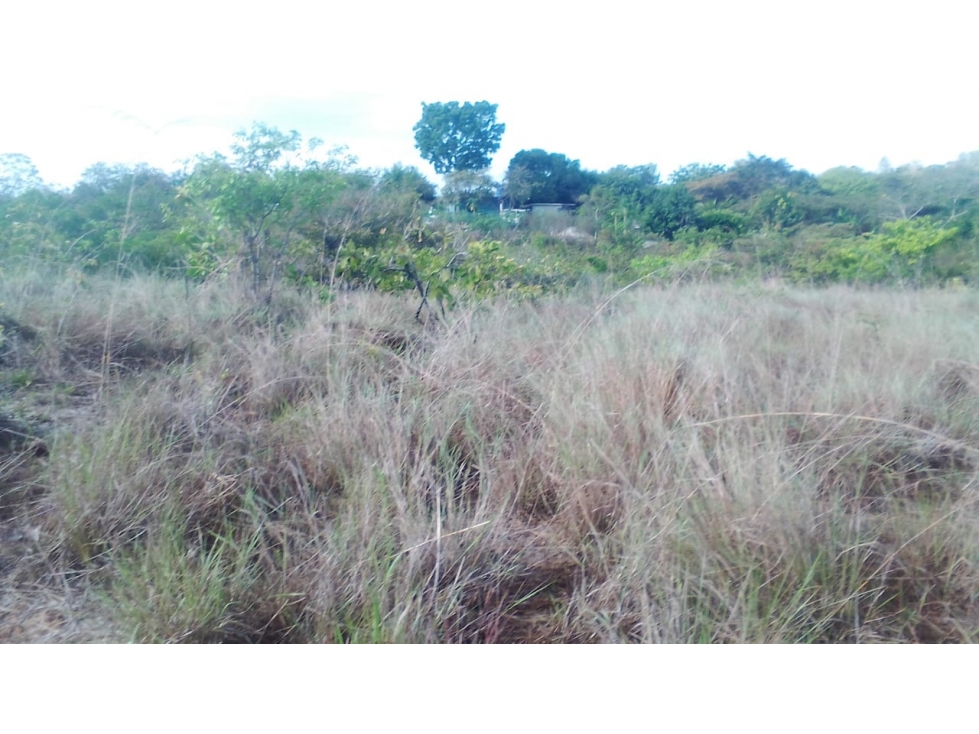 Se VENDE Terreno en Las Guías de Oriente, Río Hato - 2