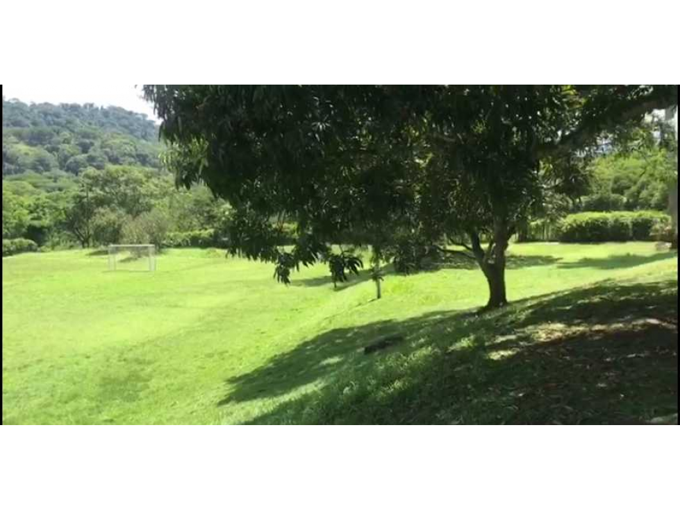 Hermosa finca en La Pintada para Reconstruir en Precio oportunidad - 2
