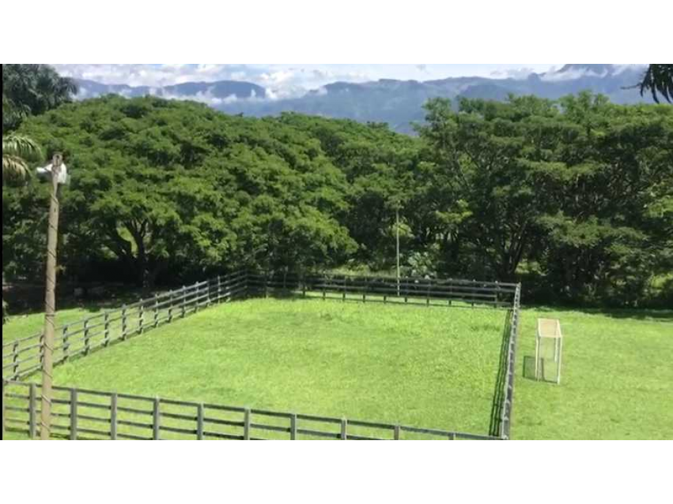 Hermosa finca en La Pintada para Reconstruir en Precio oportunidad - 3