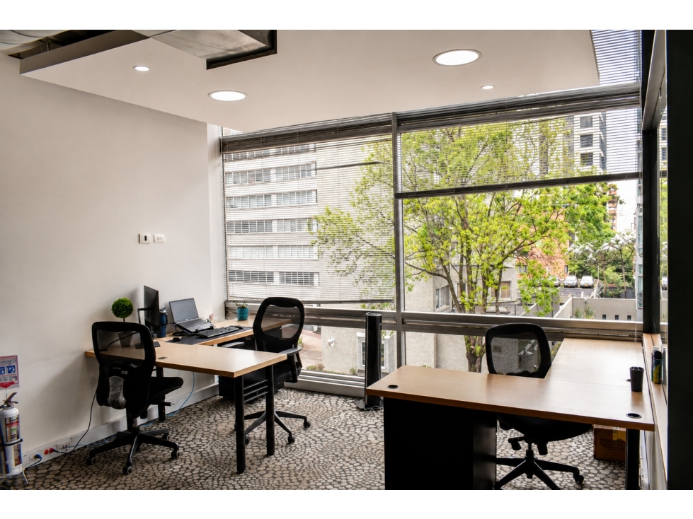 Oficina en Zona Financiera de Gran Alcance en Nogal 400 m2 — foto 4
