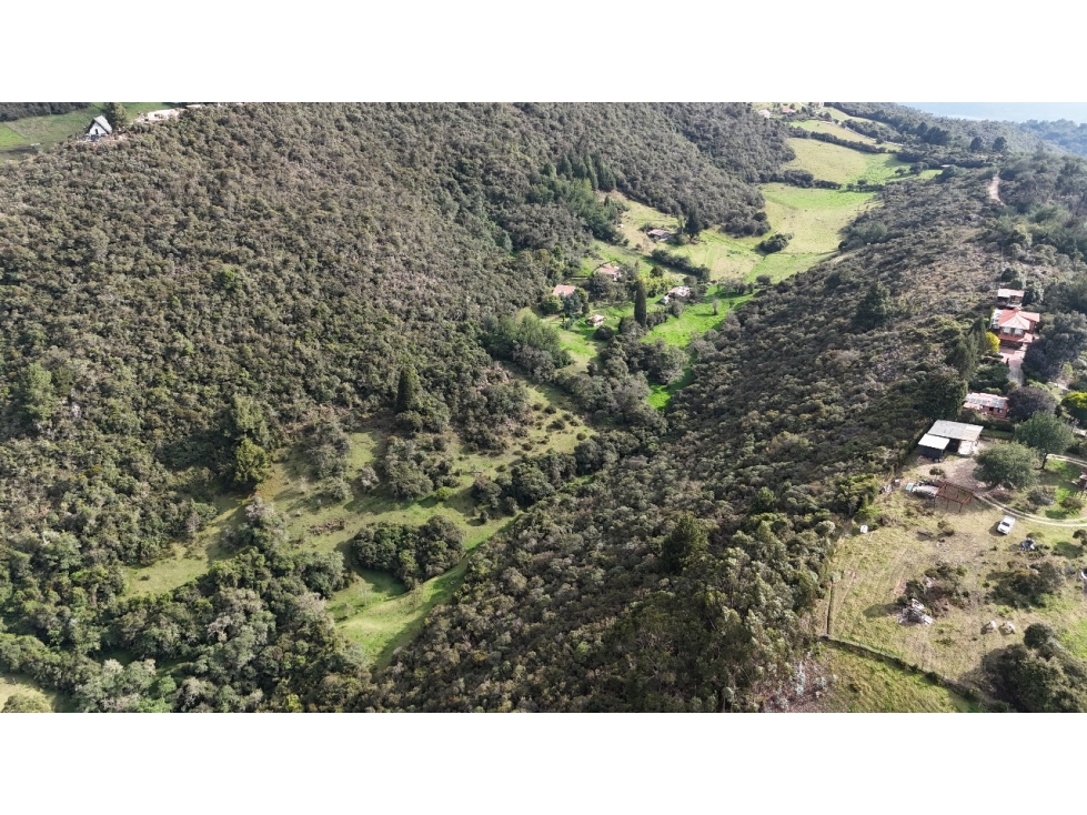Lote Super Bien Ubicado en Zona de crecimiento comercial - 2